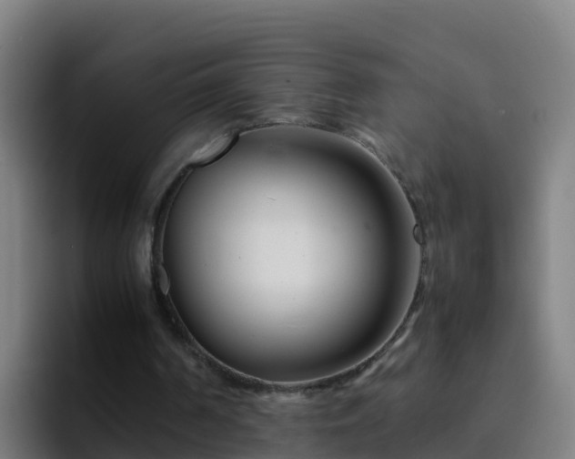 X0000094930194200712061136