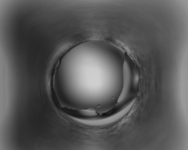 X0000094930197200712061136