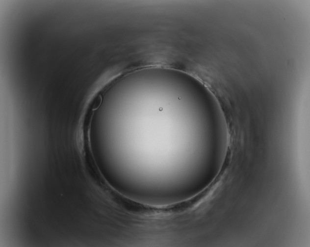 X0000094930198200712061136