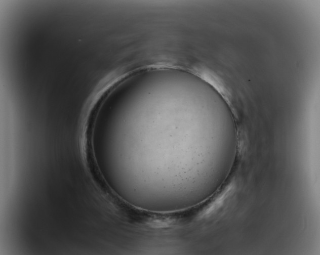 X0000094930199200712061136