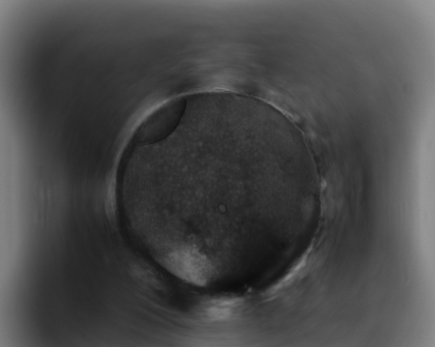 X0000094930200200712061136