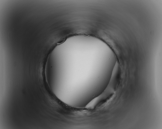 X0000094930201200712061136