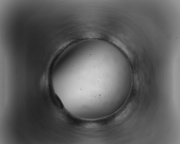 X0000094930203200712061136