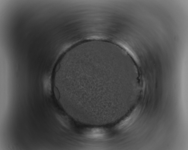 X0000094930204200712061136