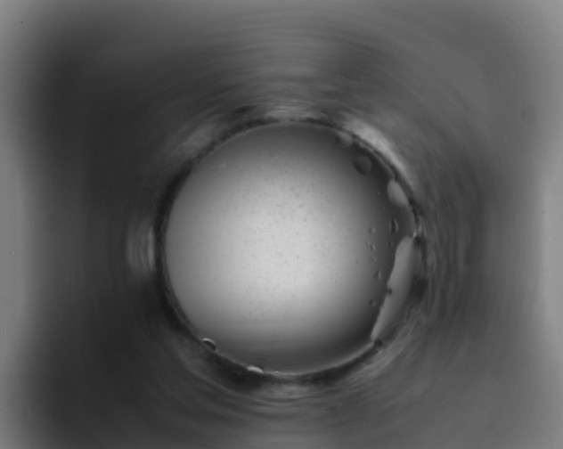 X0000094930205200712061136
