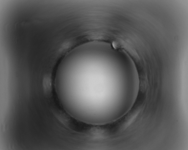 X0000094930207200712061135