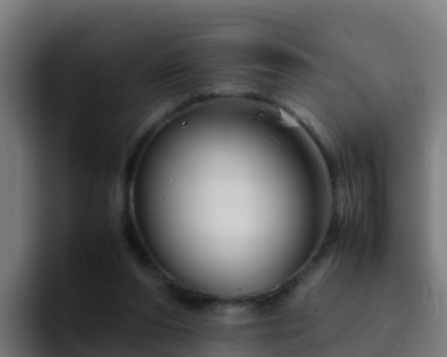 X0000094930208200712061135