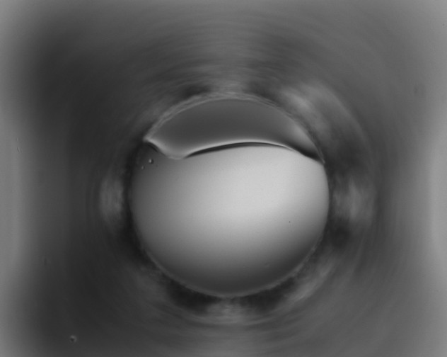 X0000094930211200712061135