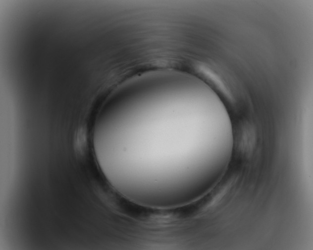 X0000094930213200712061135