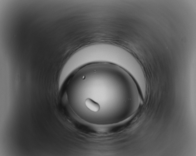 X0000094930215200712061135