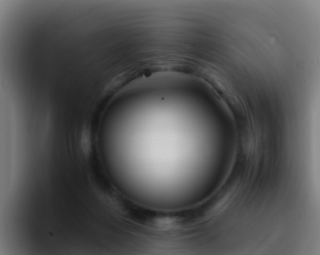 X0000094930216200712061135