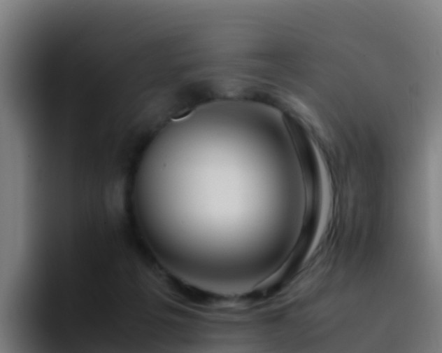 X0000094930217200712061135