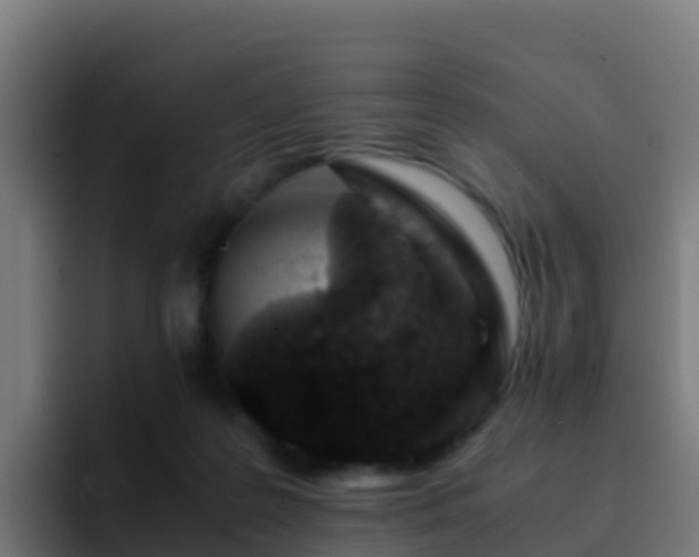 X0000094930219200712061135