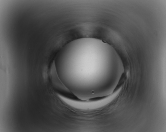 X0000094930221200712061135