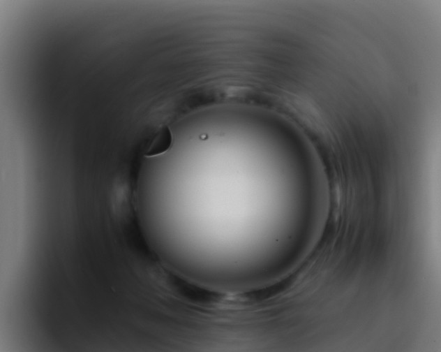 X0000094930222200712061135