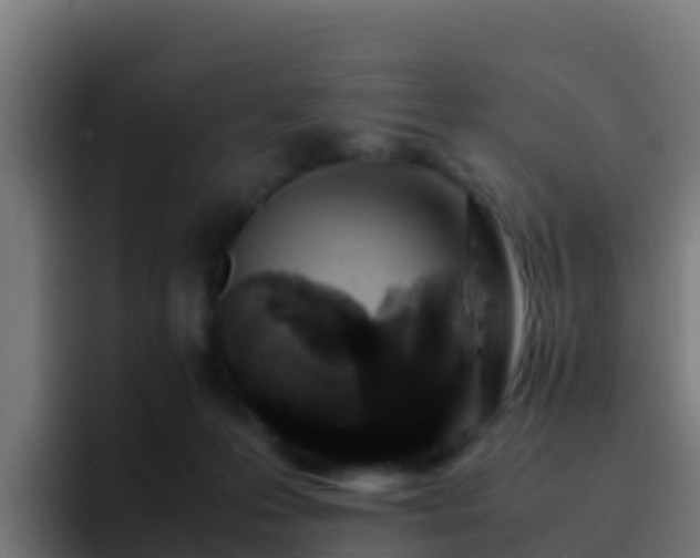 X0000094930223200712061135