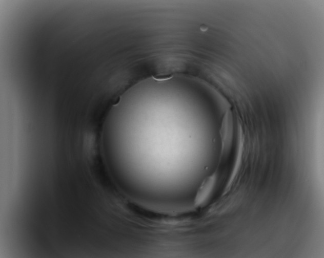 X0000094930224200712061135