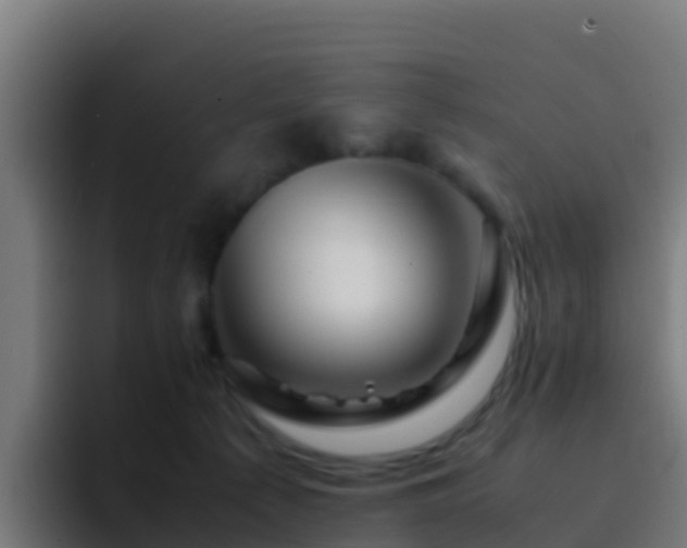 X0000094930225200712061135
