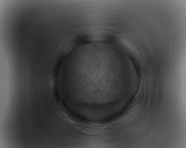 X0000094930227200712061135