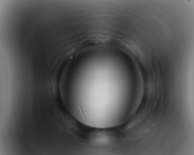 X0000094930228200712061135