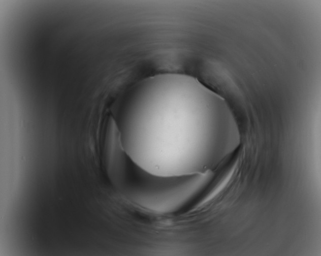 X0000094930229200712061135