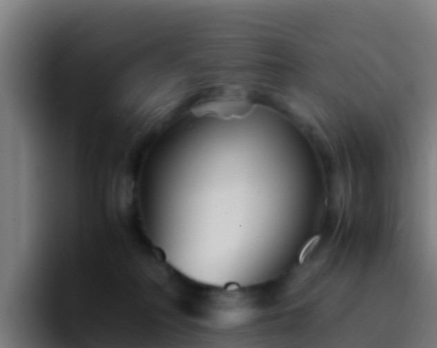 X0000094930230200712061135