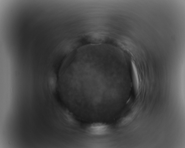 X0000094930231200712061135