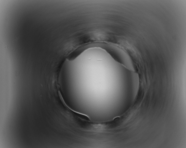 X0000094930233200712061135