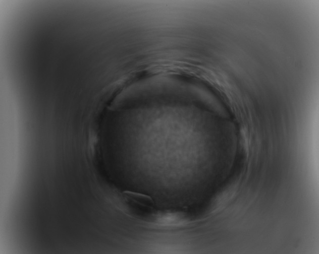 X0000094930235200712061135