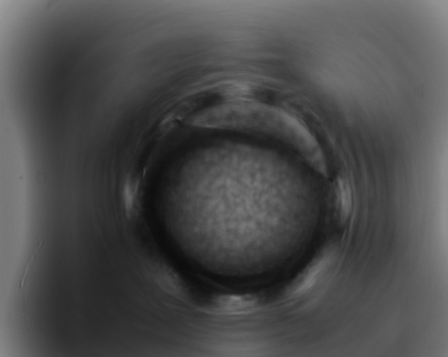 X0000094930239200712061135