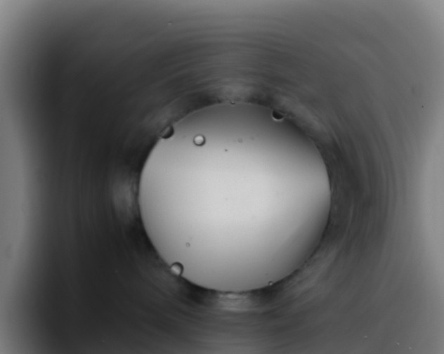 X0000094930240200712061135
