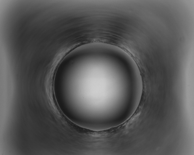X0000094930241200712061134
