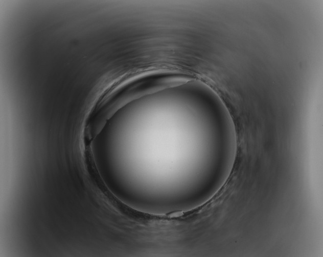X0000094930242200712061134