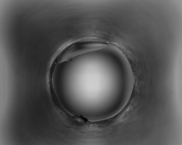X0000094930244200712061134