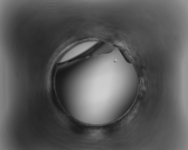 X0000094930247200712061135