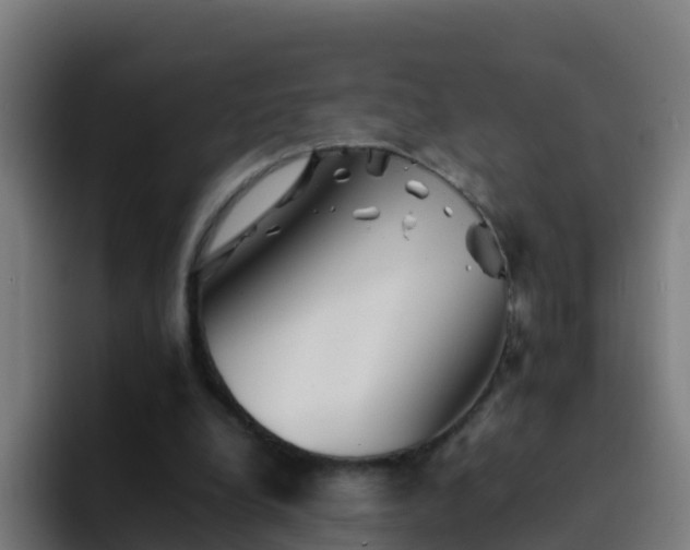 X0000094930248200712061135