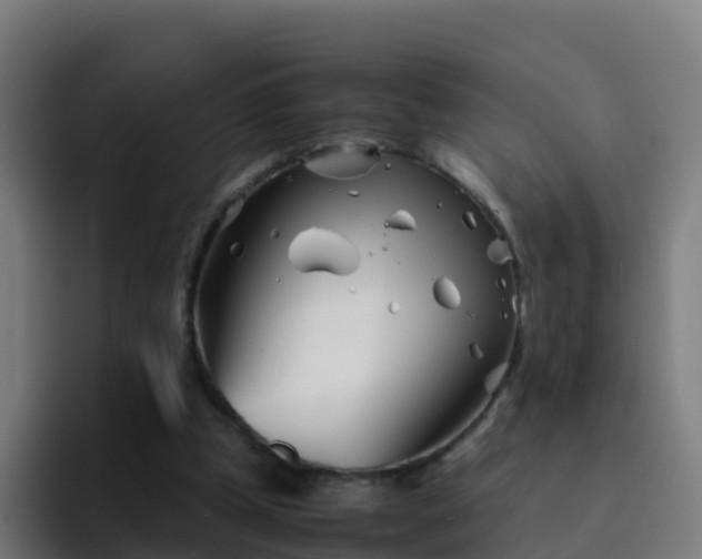X0000094930249200712061135