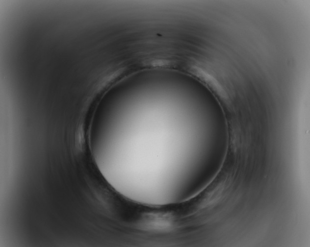 X0000094930251200712061135