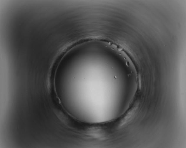 X0000094930252200712061135
