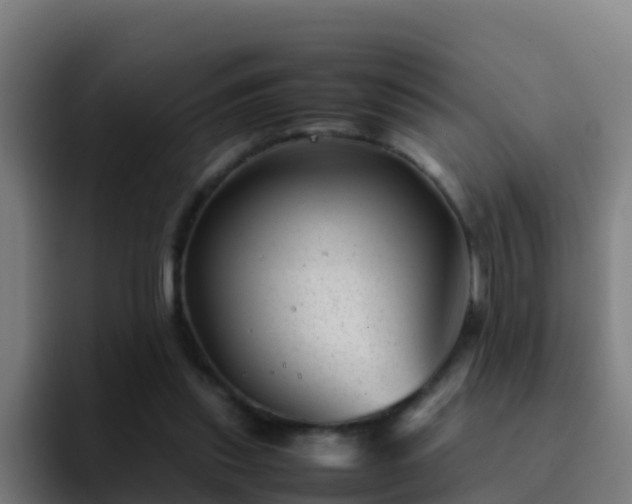 X0000094930253200712061135