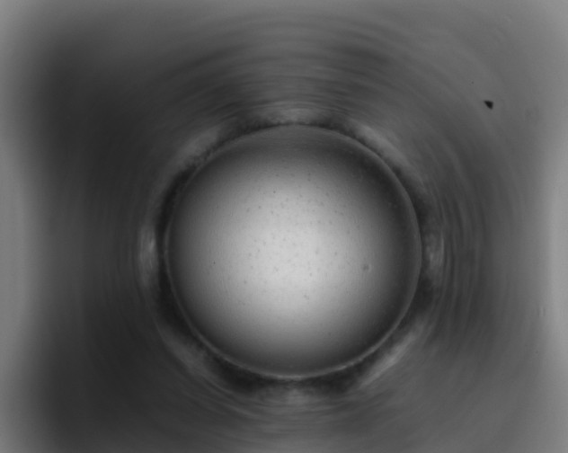 X0000094930254200712061135