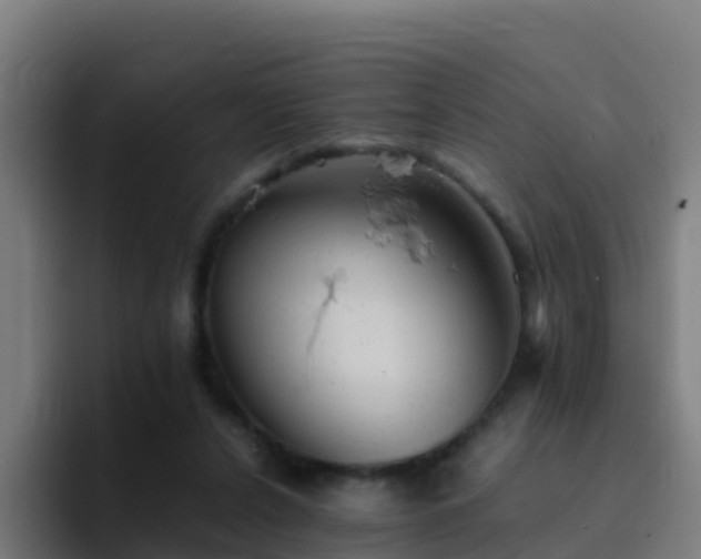 X0000094930256200712061135