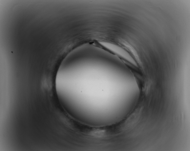 X0000094930257200712061135