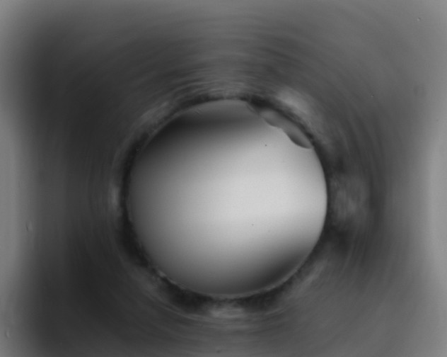 X0000094930258200712061135