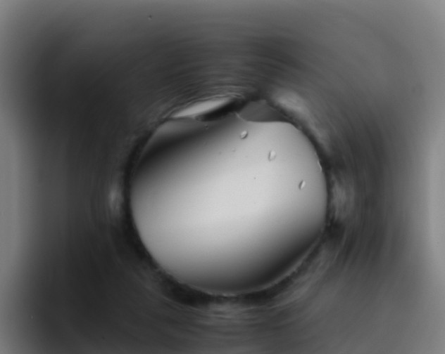 X0000094930259200712061135