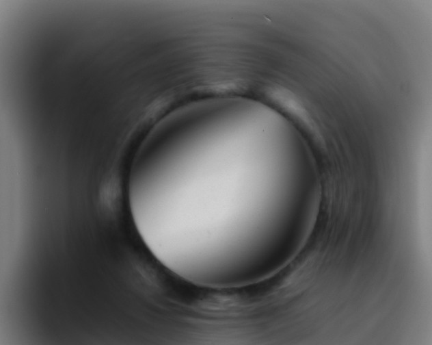X0000094930260200712061135