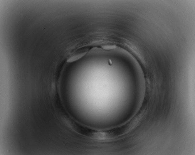 X0000094930265200712061135