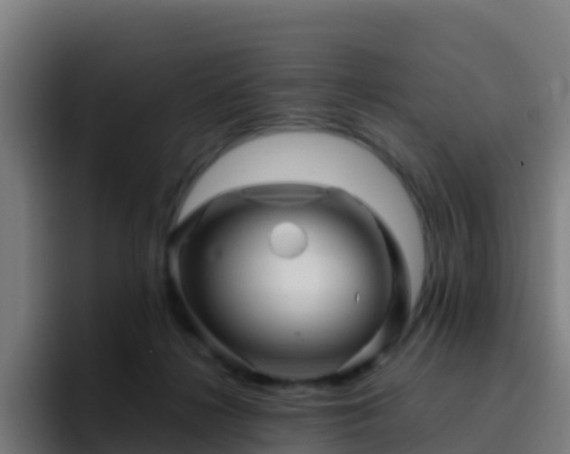 X0000094930268200712061135