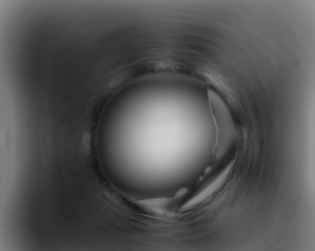 X0000094930269200712061135