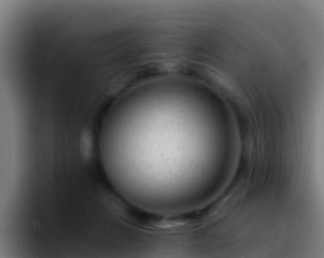 X0000094930270200712061135